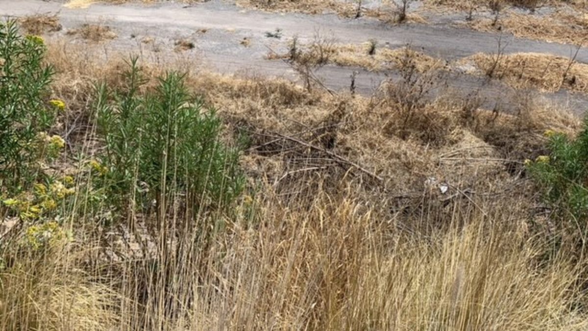 Terreno en VENTA Hacienda Carlota Borbón Querétaro