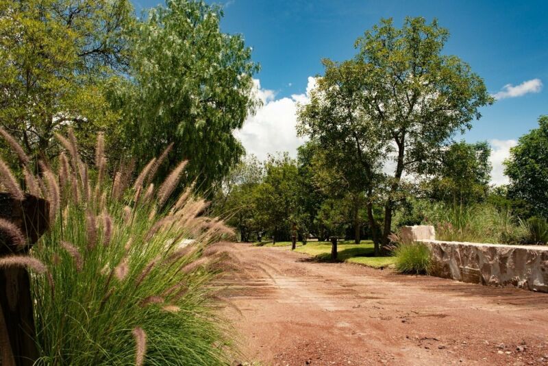 San Miguel de Allende $ 14 343 000