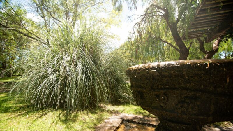 San Miguel de Allende $ 14 343 000