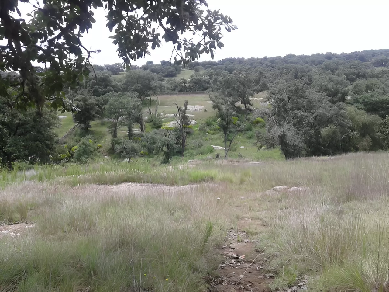 Venta Terreno Regular a p