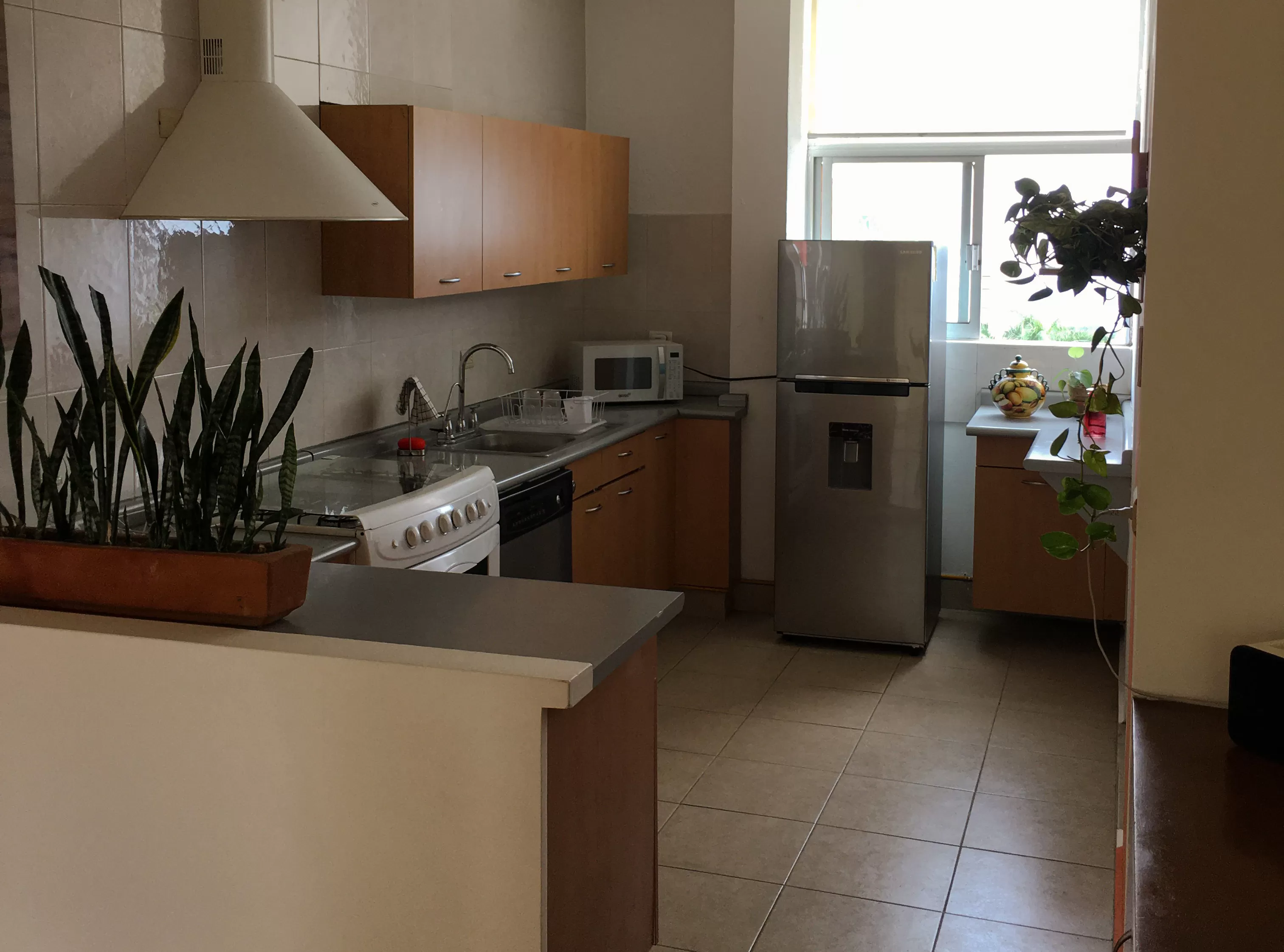 Penthouse con roofgarden,