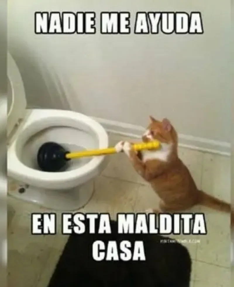 Plomería express