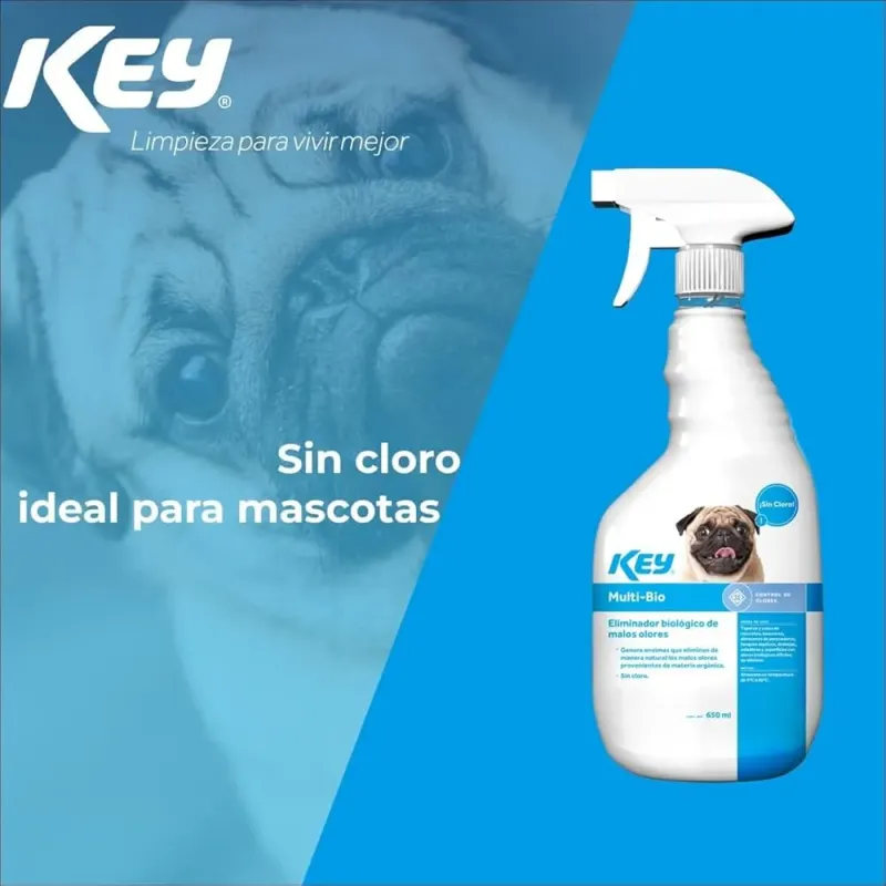 Imagen del producto de CLASCO