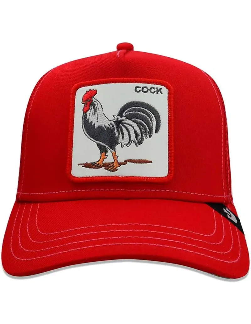 Gorra visera curva snapback adulto