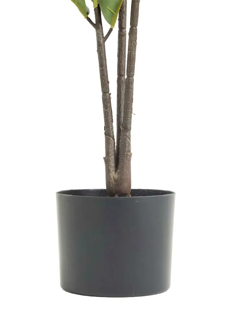 Arbol artificial planta pandurata 