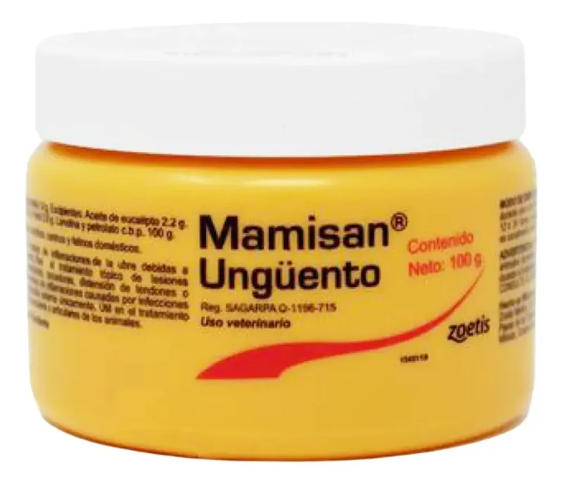 Imagen representativa de Equinos