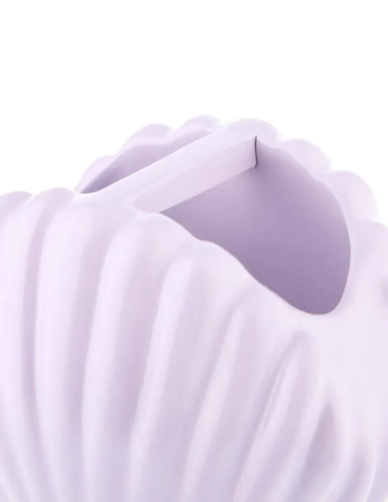 Porta cepillo de dientes Concha 2 compartimentos