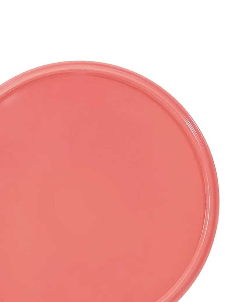 
Plato postre Haus Pastel de melamina